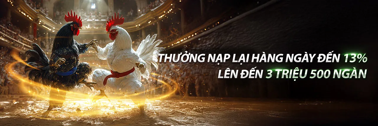 Đá Gà Thomo 27/10/2023 - Sân Đấu Gà Kịch Tính